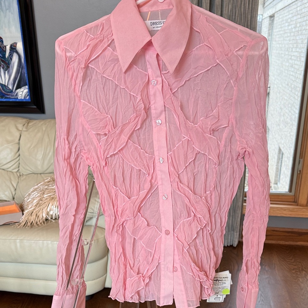 Pink Sheer Button-Up Shirt